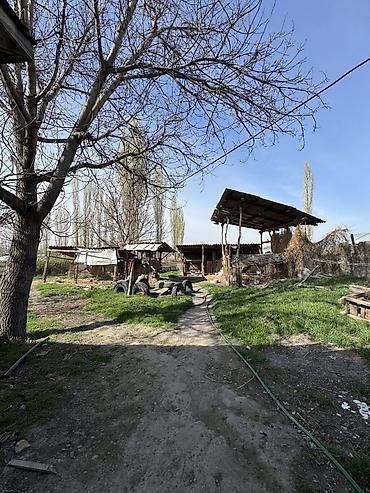 дом и сад: 📍 Село Садовое 🏡 Продаётся дом из 4 комнат на участке 30 соток! 🏠 — 2