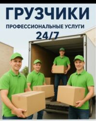 работа для домохозяек: Жүк ташуучу. 6 жылдан ашык тажрыйба