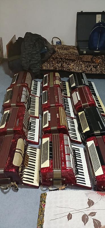 Аккордеоны: Аккордеон Barcarolle Prominenz, красный перламутровый корпус — 13