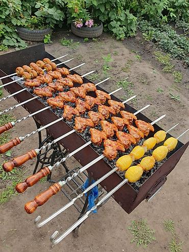 Буржуйки: Твердотопливные отопительные устройства и аксессуары,мойки Аквабласт — 67