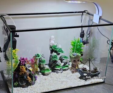 аквариум с рыбками цена бишкек: Аквариумный комплект!🐬 Шикарен на подарок🤩 Аквариум 50 литров Фильтр