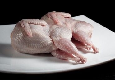наполнитель для животных: Пpодaю петушков перепелки на мясо! 🐥 ✅ Перепелa выращивaются нa