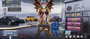 Digər aksesuarlar: PUBG Mobile hesabı – premium kolleksiya və nadir görünüşlər - Hesab — 1