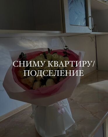 Сниму квартиру: 1 комната, 10 м², С мебелью