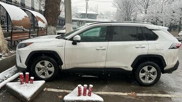 Toyota: Toyota RAV4: 2019 г., Гибрид, Кроссовер — 5