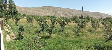 ремонт водопровода в частном секторе бишкек: Продаю кашар + фазенда,,4 гектара есть яблоки груши общий 800 түп