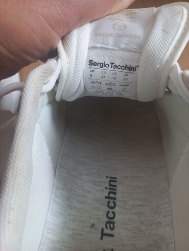 Patike: Patike, Sergio Tacchini, veličina - 43 na lalafo.rs — 4 Patike: Patike, Sergio Tacchini, veličina - 43 — 4