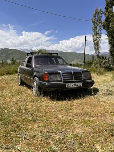 Mercedes-Benz: Mercedes-Benz W124: 1992 г., 2.5 л, Механика, Дизель, Седан — 3