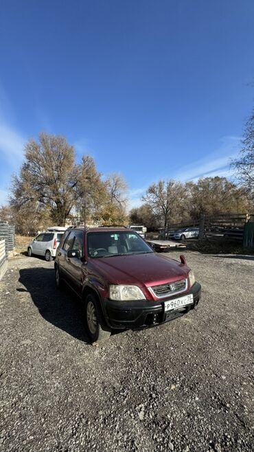 Honda: Honda CR-V: 1996 г., Автомат, Кроссовер — 11