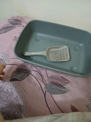 pişik ucun qab: Pişik üçün qum qabı. çartı və ya qırığı yoxdur. ünvandan götürə — 5