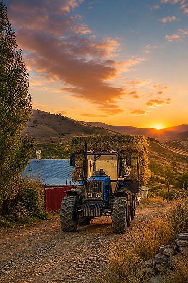 vaz muherrik: Traktor Belarus (MTZ) 1221, 2022 il, 130 at gücü, motor 4.4 l, İşlənmiş — 1