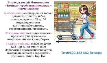 Продавцы-консультанты: Требуется Продавец-консультант в Продуктовый магазин, График: Два через два, Обучение, Полный рабочий день