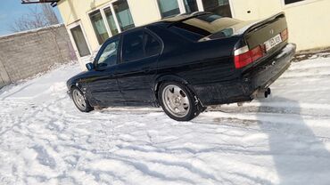 BMW: BMW 525: 1993 г., 2.5 л, Механика, Бензин, Седан