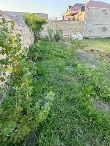 Torpaq sahələrinin satışı: 5 sot, Tikinti, Mülkiyyətçi, Bələdiyyə -da lalafo.az — 9 Torpaq sahələrinin satışı: 5 sot, Tikinti, Mülkiyyətçi, Bələdiyyə — 9