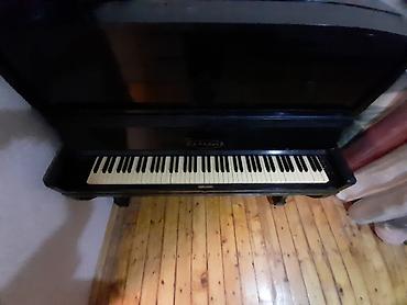 Pianolar: Piano, Belarus, Akustik, İşlənmiş — 1