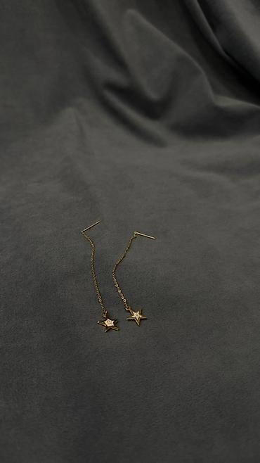 медаль: Şık aksessuarlar kolleksiyası - Ulduz asqılı zəncirli sırğa – nazik — 5