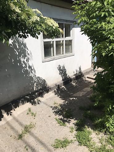 Долгосрочная аренда домов: 38 м², 1 комната — 17