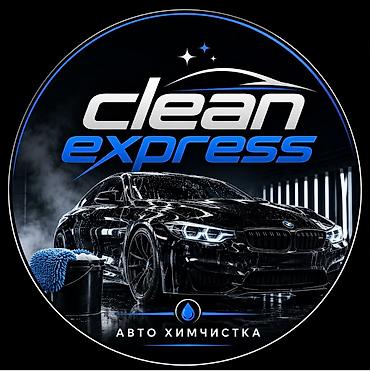 Выездная химчистка автомобиля Профессиональная детальная очистка