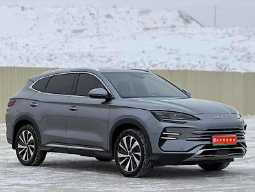 BYD: BYD Destroyer 05: 2024 г., Кроссовер — 2