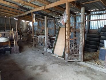 Продажа домов: Дом, 100 м², 4 комнаты, Собственник, Старый ремонт — 18