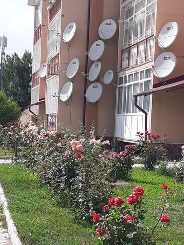 дом сокулук квартира: Батир, | Кыргызское взморье, Бостери