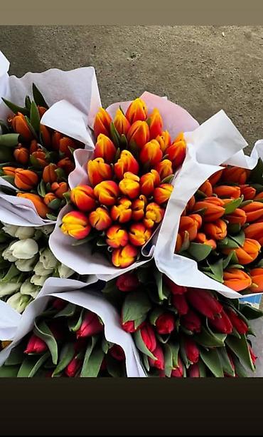 Букеты из живых цветов: 🌷 ТАКОЙ ЦЕНЫ В КЫРГЫЗСТАНЕ НЕТ 🌷 Голландские тюльпаны — 100 сом от 10 — 3