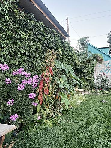 Продажа дачи: 3 комнаты, 70 м², 5 соток, Электричество, Горячая вода, Холодная вода — 13