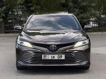 сколько стоит машина отсева: Toyota Camry: 2019 г., 2.5 л, Вариатор, Гибрид, Седан — 1