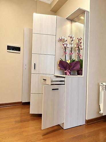 Mebel dəsti – dəhliz üçün çoxfunksiyalı dolab və konsol - Dizayn