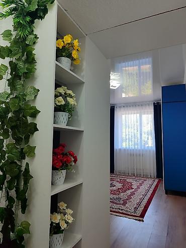 Продажа комнат: 24 м², С мебелью — 4