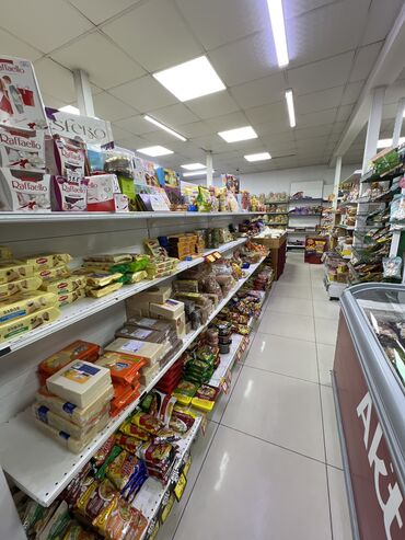 снять квартиру с животными: Сдаю Магазин, В жилом доме, 150 м² Действующий, С оборудованием, С ремонтом, Вода, Канализация, Отопление, Отдельный вход, 1 линия, Склад