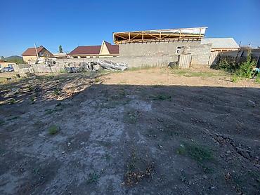 6 соток, Курулуш, Кызыл китеп