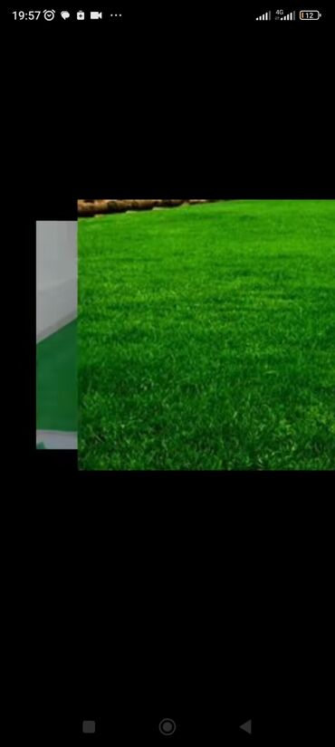 Toxumlar: Kefietli qazon
jefietli iş
kefietli torf
bizdedir — 4