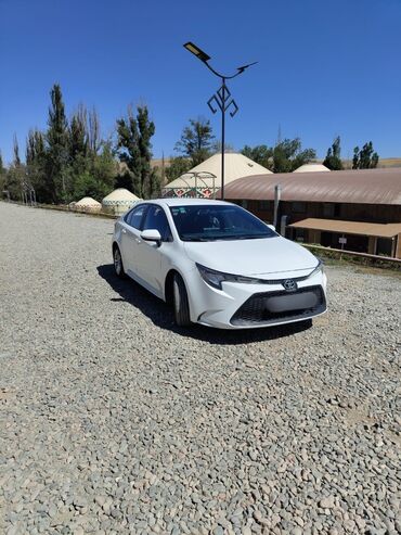 машина k5: Toyota Corolla: 2021 г., 1.5 л, Автомат, Бензин, Седан