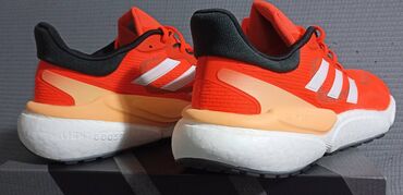 Patike: Patike, Adidas, veličina - 44.5 — 4