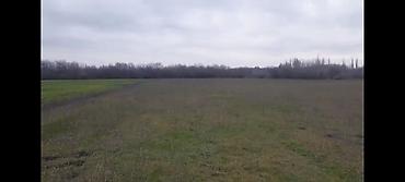 Torpaq sahələrinin satışı: Kənd təsərrüfatı — 7