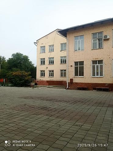 в чулках: Требуется ответственная, свободная от работы русскоязычная женщина — 2
