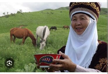 туристические компании кыргызстана: Кумысолечение на базе отдыха "Орловка". Для проживания предлагаем vip