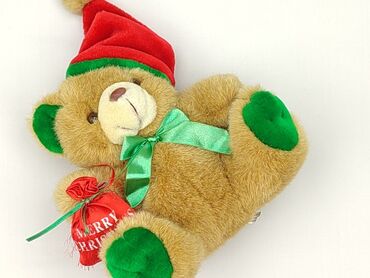 Mascot Teddy bear, condition - Perfect