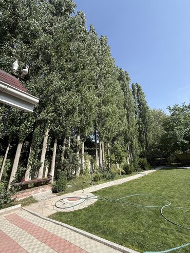 Продажа домов: Дом, 160 м², 5 комнат, Агентство недвижимости, Евроремонт — 11