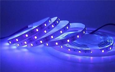 case za vrtic: UV LED TRAKA 395NM - 405NM ULTRA VIOLET ULTRA LJUBIČASTA 5M | — 1