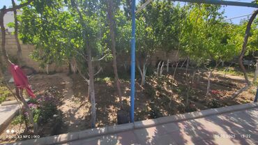 Həyət evləri və villaların satışı: 7 otaqlı, 250 kv. m — 7