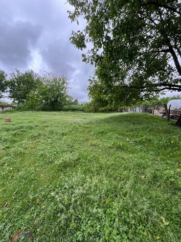 Torpaq sahələrinin satışı: 5 sot, Kənd təsərrüfatı -da lalafo.az — 5 Torpaq sahələrinin satışı: 5 sot, Kənd təsərrüfatı — 5