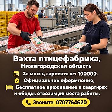 цех нижнего белья: Место работы-в России, Нижегородская область, Павлово. На птицефабрику — 1