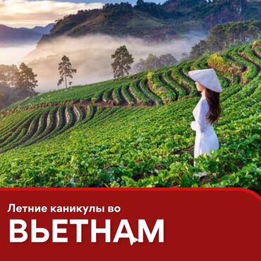 Туристические услуги: 🇻🇳 ВЬЕТНАМ — ЛЕТО У МОРЯ ОТ $399! 🏖 Устали от жары и городской суеты?