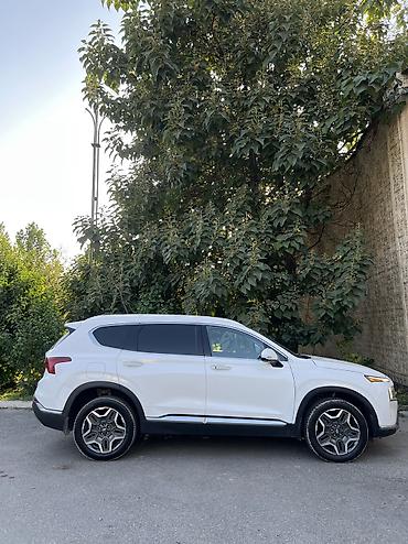 2107 панел: Hyundai Santa Fe: 2021 г., 1.6 л, Электромобиль, Внедорожник — 3