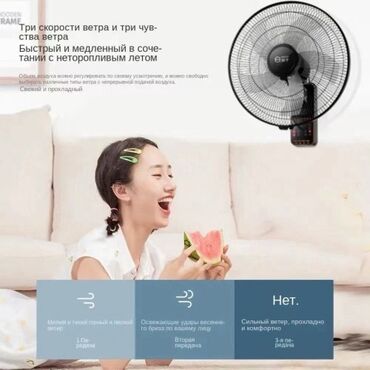 Воздуходувка: Вентилятор Пристенная, Лопастной — 9