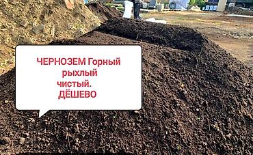 чернозем зил: В тоннах, Бесплатная доставка, Зил — 1