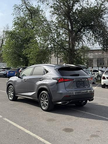 лехус нх 300: Lexus NX: 2018 г., 2 л, Автомат, Бензин, Кроссовер — 4