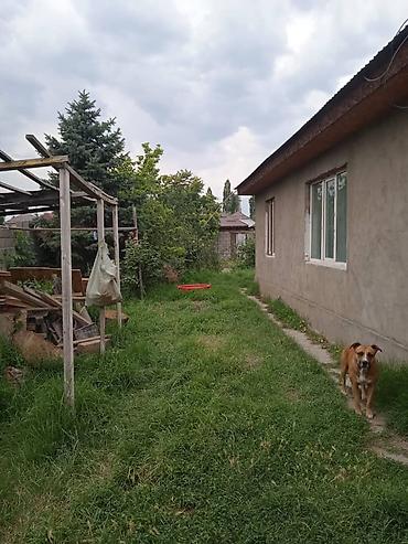 5: Продаётся жилой дом с придомовым участком 5,5 соток Основное здание — 2